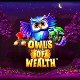 Owls of Wealth na Dedek